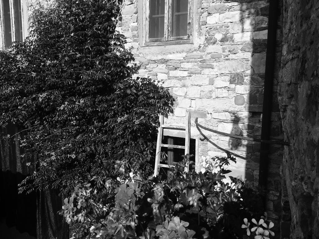 Podere Terreno Alla Via Della Volpaia Radda in Chianti Exterior foto